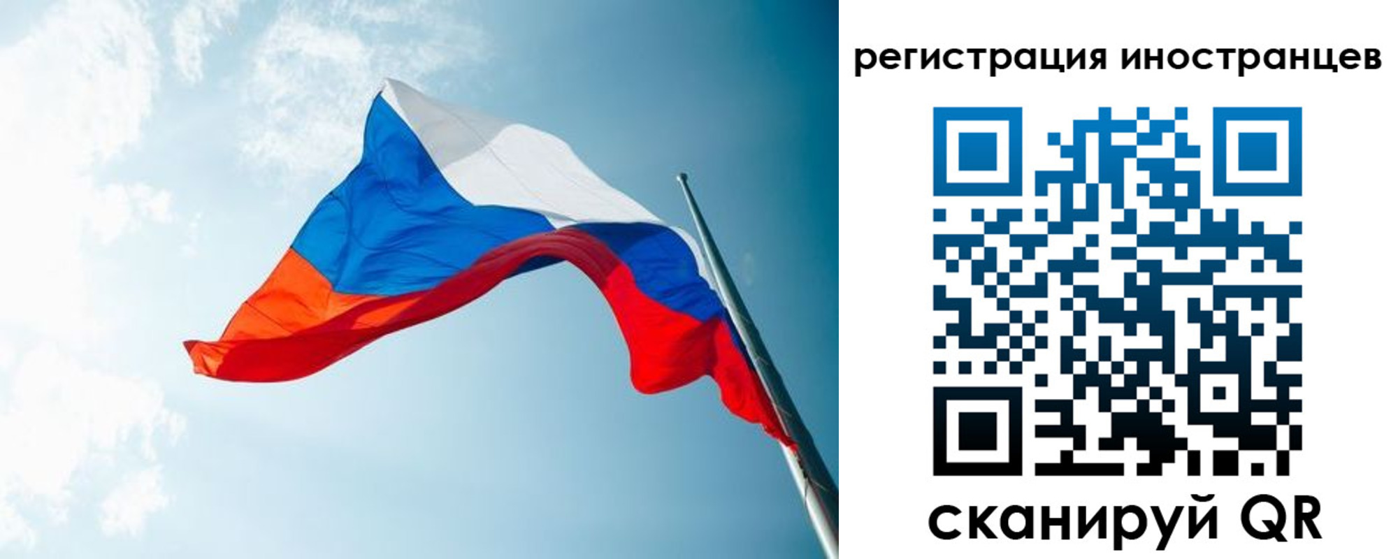 прописка для работы в Кольчугино